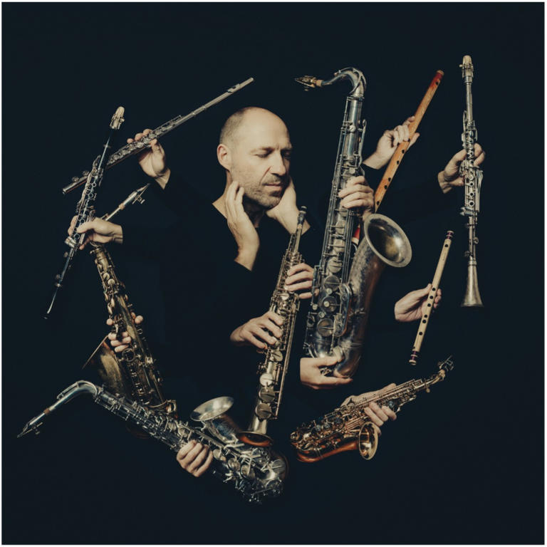 vibe-concerts-manu-hermia
